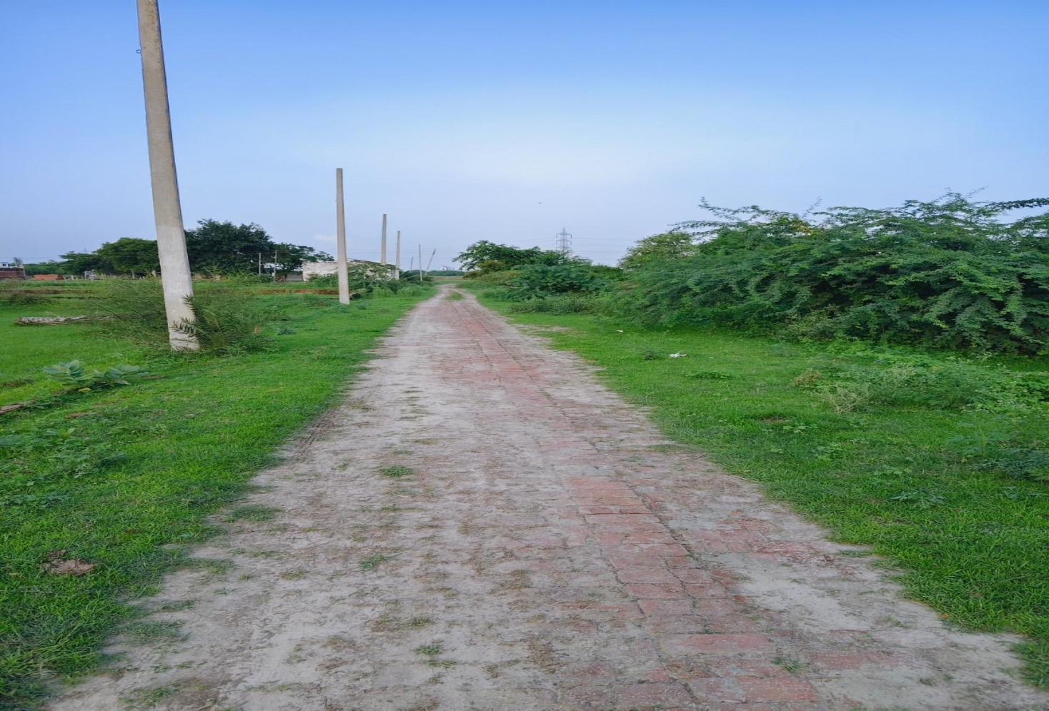 Photo 5