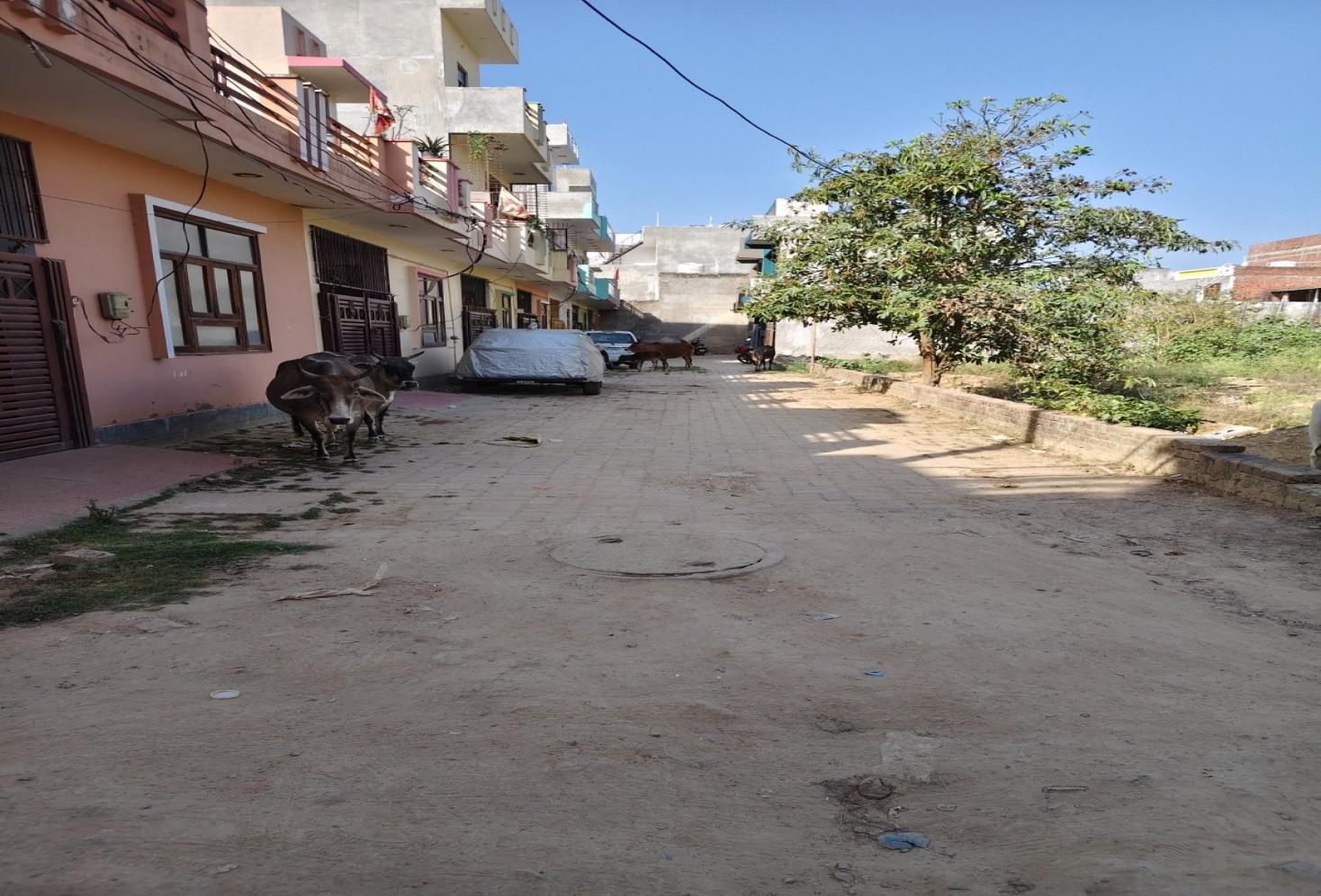 Jankipuram 60 feet road Plot 