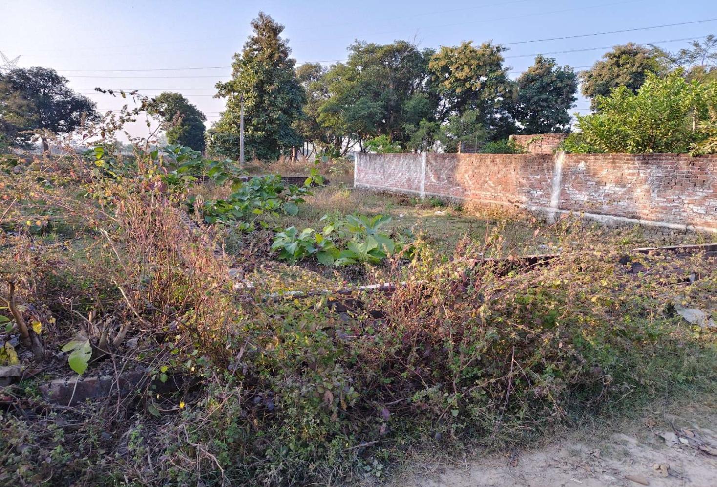 Saraiya Sitapur road Plot 